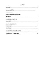 Referāts 'Melu psiholoģija', 2.