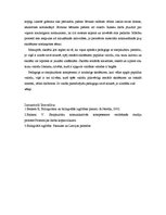 Eseja 'Pedagoga starpkultūru kompetences nozīme profesionālajā darbībā', 2.