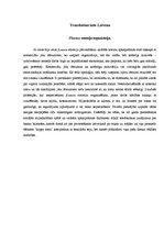 Konspekts 'Independent Reading', 3.