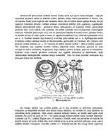 Referāts 'Vikingi', 11.