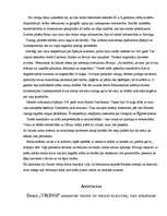 Referāts 'Vikingi', 17.