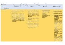 Konspekts 'Konspekts logopēdijā', 1.