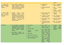 Konspekts 'Konspekts logopēdijā', 2.