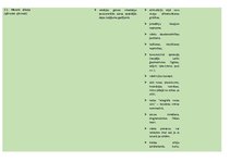 Konspekts 'Konspekts logopēdijā', 4.