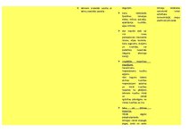 Konspekts 'Konspekts logopēdijā', 6.