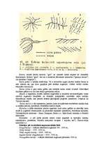 Konspekts 'Denudācijas un tektonisko procesu mijiedarbība kalnāju veidošanā', 5.