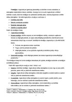 Konspekts 'Stratēģijas veidi un stratēģijas izvēle', 2.