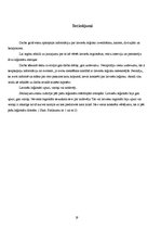 Referāts 'Latviešu leģionāri Otrā pasaules kara laikā', 19.