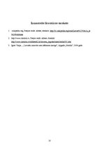 Referāts 'Latviešu leģionāri Otrā pasaules kara laikā', 20.
