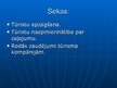 Prezentācija 'Tūrismā aktuāla problēma, tās risinājumi. Tūristu apkrāpšana un aplaupīšana', 5.