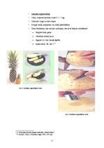 Referāts 'Uzturvērtība', 11.