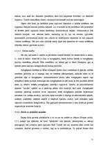 Diplomdarbs 'Jaunāko surogātpasta bloķēšanas tehnoloģiju analīze un pielietojumu iespējas', 51.