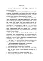 Referāts 'Žurnāla "Privātā Dzīve" publikāciju un valodas stila analīze', 3.