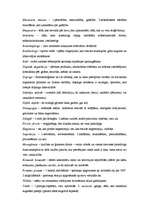 Referāts 'Žurnāla "Privātā Dzīve" publikāciju un valodas stila analīze', 8.