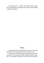 Referāts 'Žurnāla "Privātā Dzīve" publikāciju un valodas stila analīze', 13.