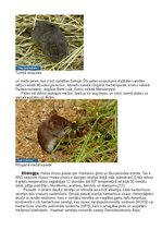 Referāts 'Endēmiskā nefropātija, vai mēs to pazīstam?', 3.