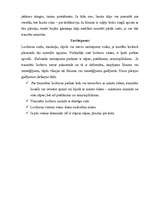 Referāts 'Traumas', 6.