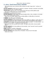 Paraugs 'Meteņu svētku scenārijs', 7.
