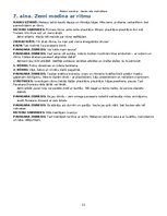 Paraugs 'Meteņu svētku scenārijs', 11.
