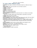 Paraugs 'Meteņu svētku scenārijs', 15.
