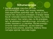 Prezentācija 'Enerģijas veidi', 7.