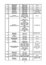 Referāts 'Vidzemes reģiona attīstības plāns', 19.