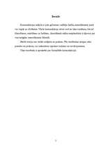 Referāts 'Komunikācija organizācijās', 2.