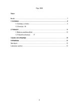 Referāts 'Ķīnas civilizācijas vēsture', 2.