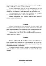 Referāts 'Steampunk interjera dizainā', 15.