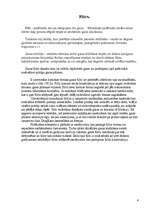 Konspekts 'Gāzes kamīni', 4.