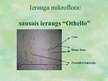 Prezentācija 'Pētījums par sauso ieraugu izmantošanu rudzu maizes gatavošanā', 5.