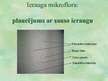 Prezentācija 'Pētījums par sauso ieraugu izmantošanu rudzu maizes gatavošanā', 7.