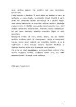 Eseja 'Politiskās institūcijas. Konstitūcija', 4.