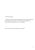 Referāts 'Близнецы - похожи или нет', 6.