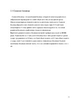 Referāts 'Близнецы - похожи или нет', 11.