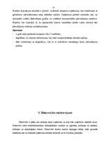 Biznesa plāns 'SIA "Ozols"', 10.