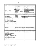 Biznesa plāns 'SIA "Ozols"', 19.