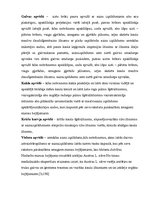 Referāts 'Miesas bojājumi', 11.