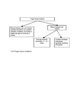 Referāts 'Miesas bojājumi', 15.