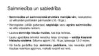 Prezentācija 'Apgaismība Baltijā. Baltijas sabiedrība 16.-18.gadsimtā', 4.