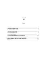 Prakses atskaite 'Kultūras centri Daugavpilī', 2.