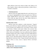 Prakses atskaite 'Kultūras centri Daugavpilī', 6.