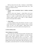 Prakses atskaite 'Kultūras centri Daugavpilī', 8.