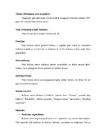 Prakses atskaite 'Kultūras centri Daugavpilī', 17.