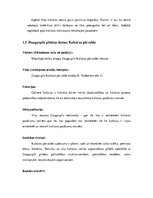 Prakses atskaite 'Kultūras centri Daugavpilī', 20.