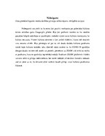 Prakses atskaite 'Kultūras centri Daugavpilī', 27.