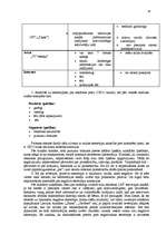 Referāts 'Cido Pārtikas Grupa', 19.