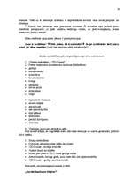 Referāts 'Cido Pārtikas Grupa', 20.