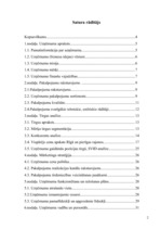 Biznesa plāns 'Biznesa plāns nekustamo īpašumu firmas izveidei', 2.