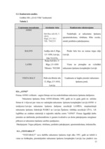 Biznesa plāns 'Biznesa plāns nekustamo īpašumu firmas izveidei', 13.